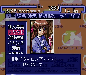 Super Wrestle Angels (Japan) screen shot game playing